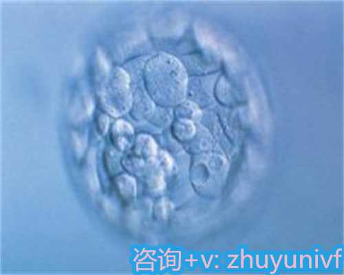 试管助孕4AA胚胎等级解析与选择指南