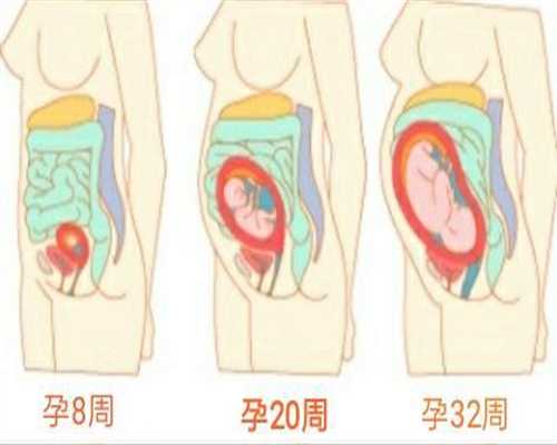 试管助孕：移植前一月饮食关键