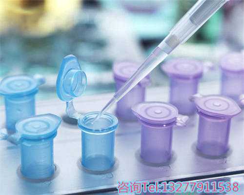 试管攒胚胎碎片原因解析：不良生活习惯、激素异常与操作技术