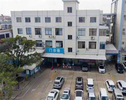 孕酮与胚胎发育质量的关系解析