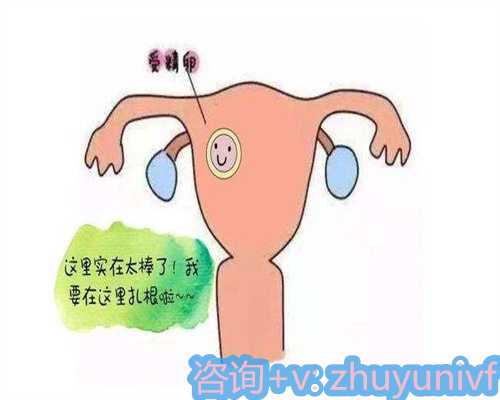 无创产前基因检测如何准确判断胎儿性别？误差分析全解析