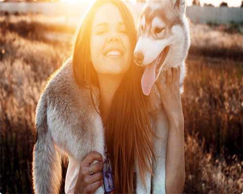 人工授精成功率偏低的关键因素解析