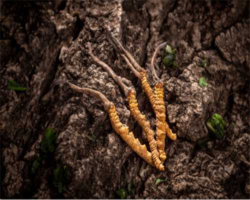 供卵试管包生男孩费用明细及2026年最新价格解析