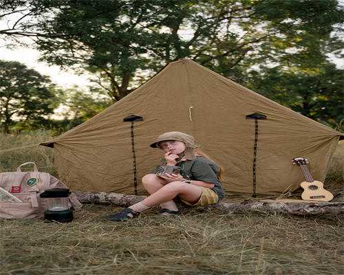 陕西知名助孕机构专业服务与高成功率解析