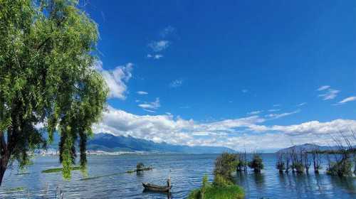 执着创造奇迹：卵巢早衰AMH0.17，迎来双杠好孕